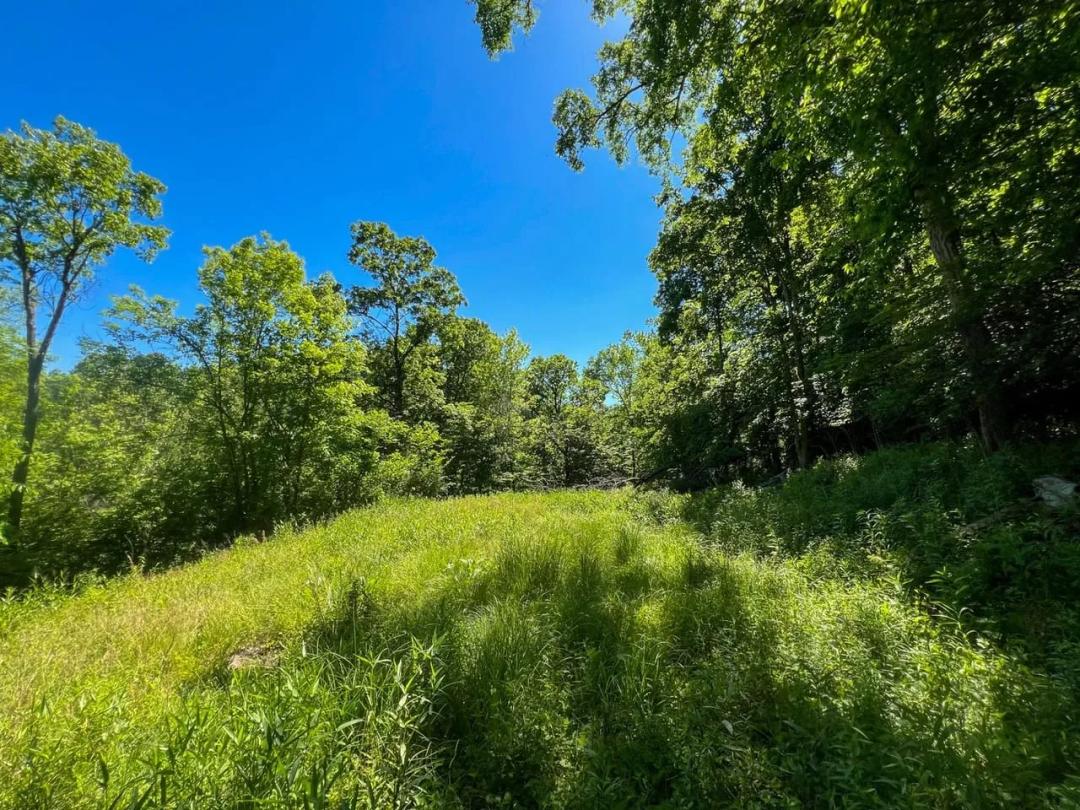 County Rd 17 - 8 acres