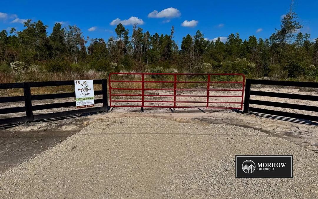 Magnolia Point - Lot #18