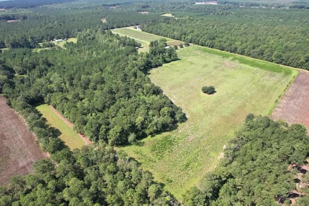70.4 acres of Farmland and Timberland For Sale in Columbus County NC!