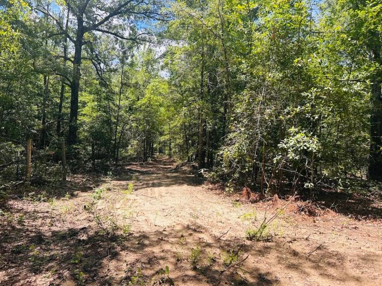 90.00 Acres at 0 Moores Chapel Road