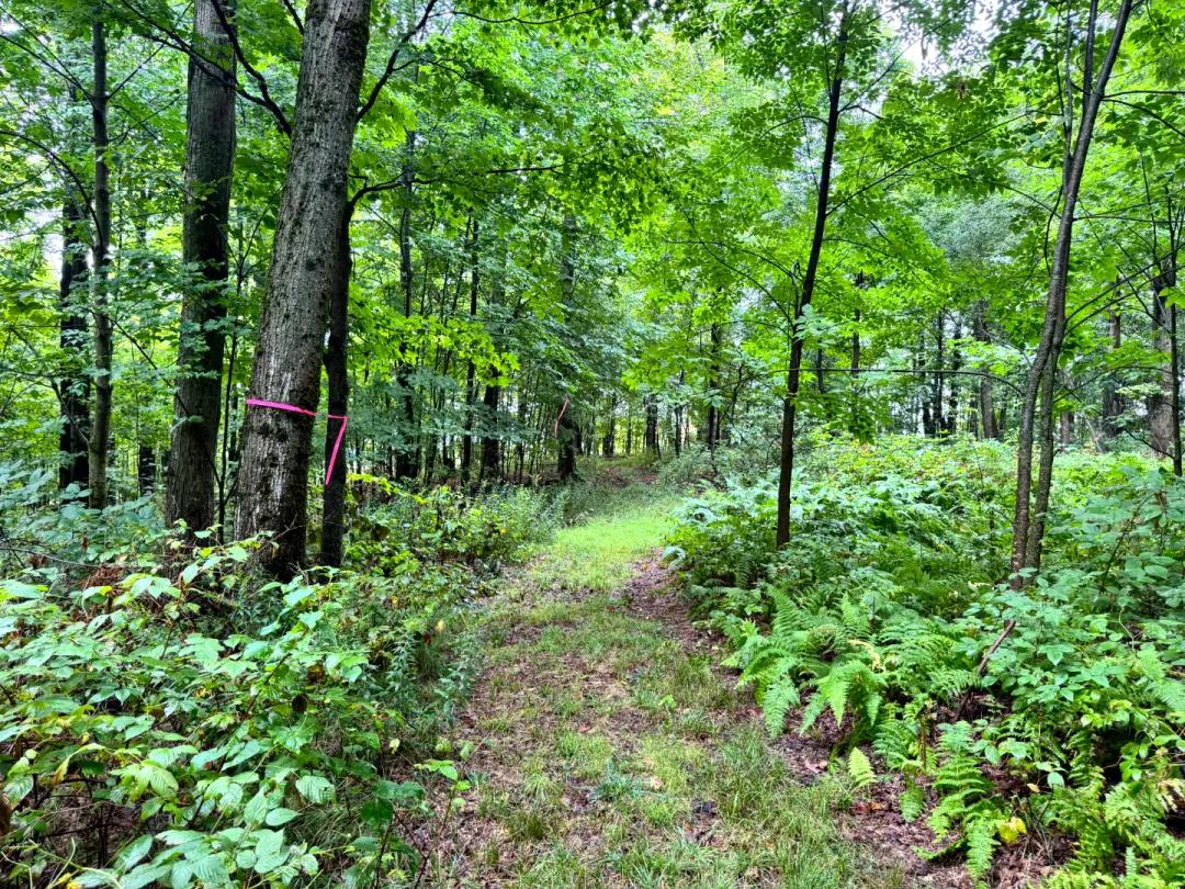 Richford Valley Retreat