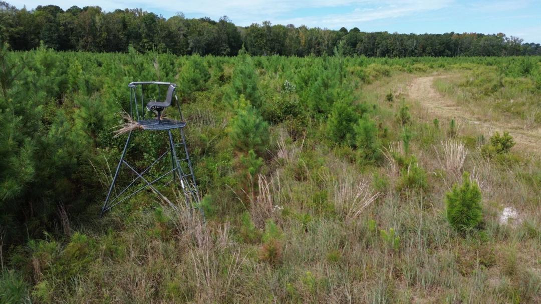 228.50 Acres at 0 Mulberry Rd