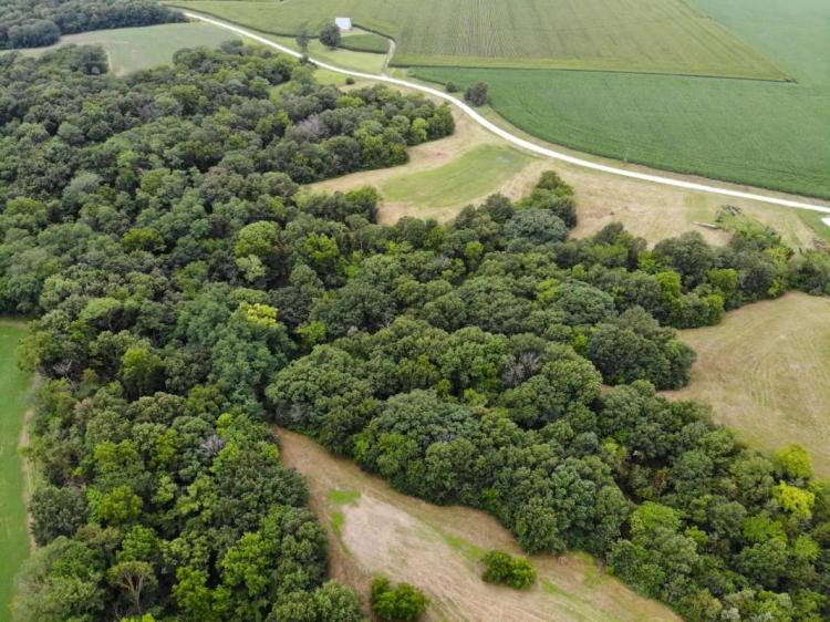 Great Building Site With Unlimited Potential