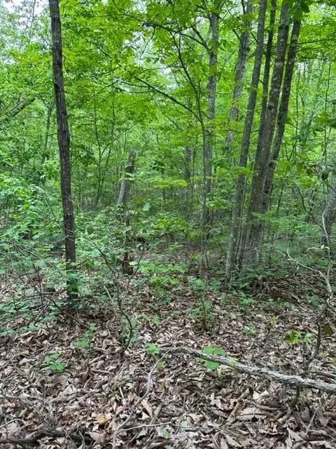 Lot 91 Buckeye Lane