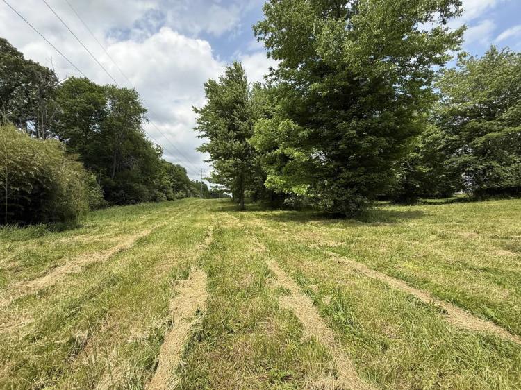 Endless Possibilities on 3.65 Acres