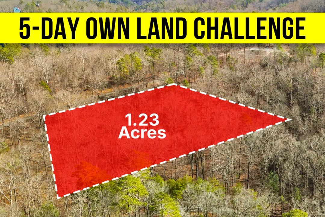 1.23-Acre Georgia Land - Wooded Lot, Near Carters Lake