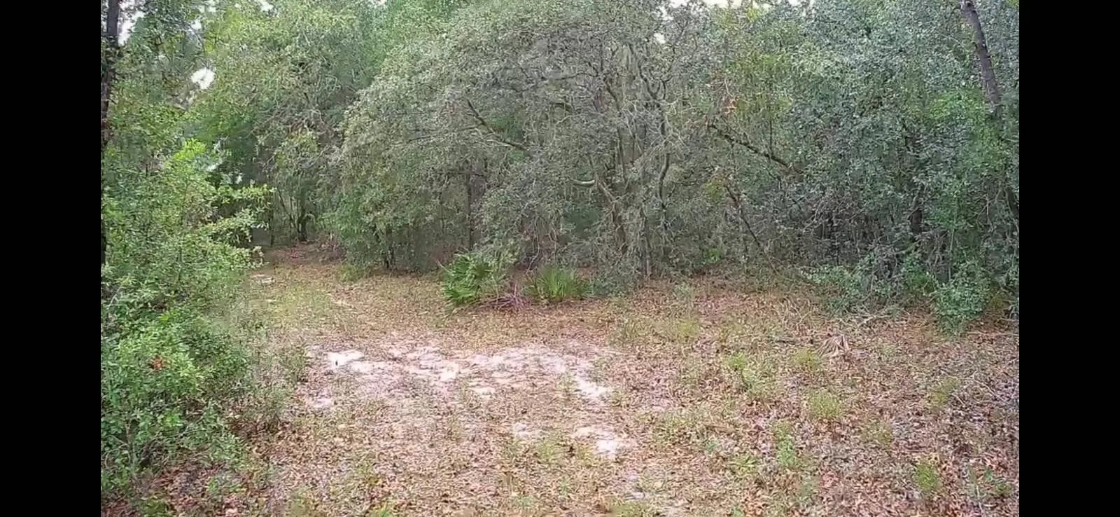 77258785-7