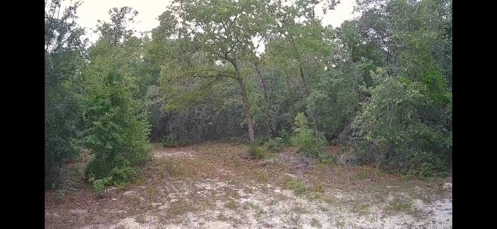 77258785-9