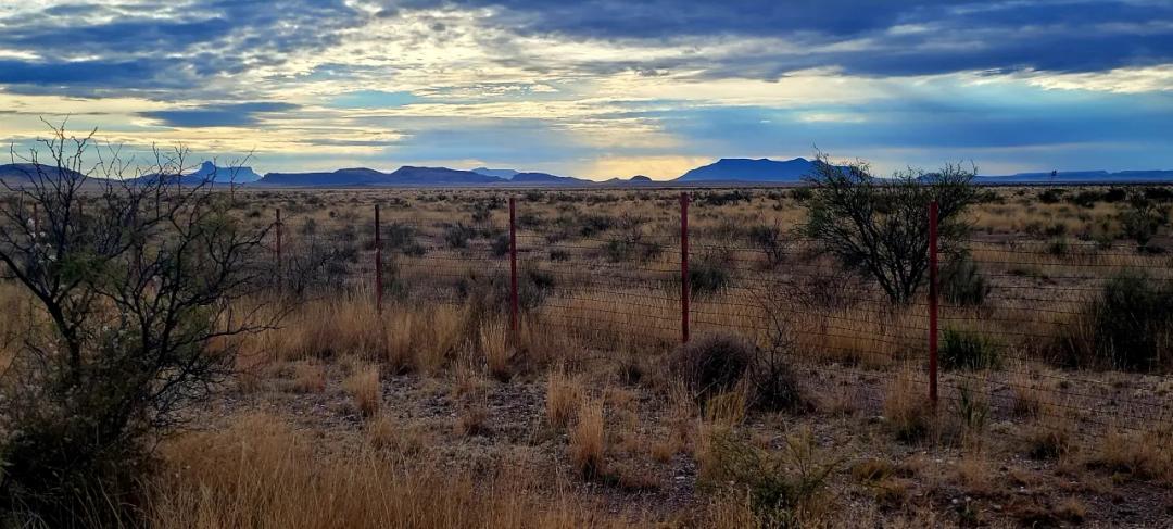 Remote West Texas Desert  * 10 acres North of Presidio