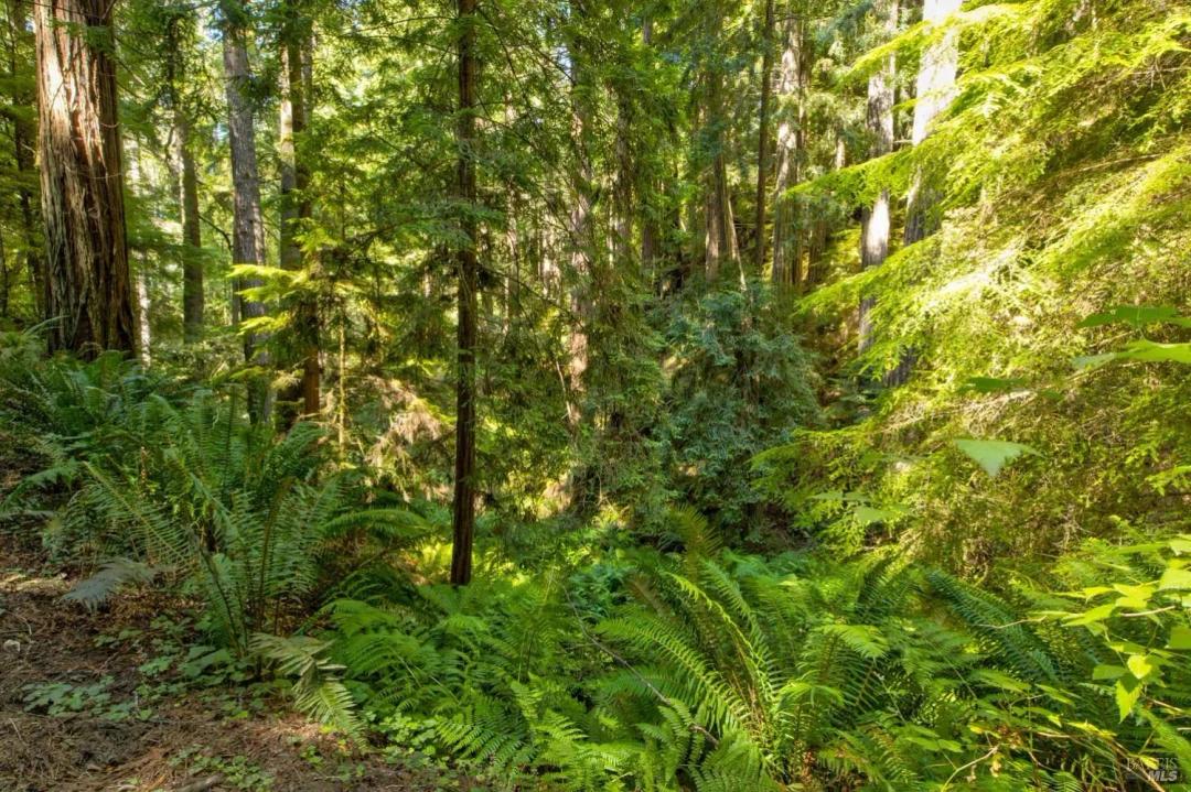 4.55 Acres of Land for Sale in Little River, California