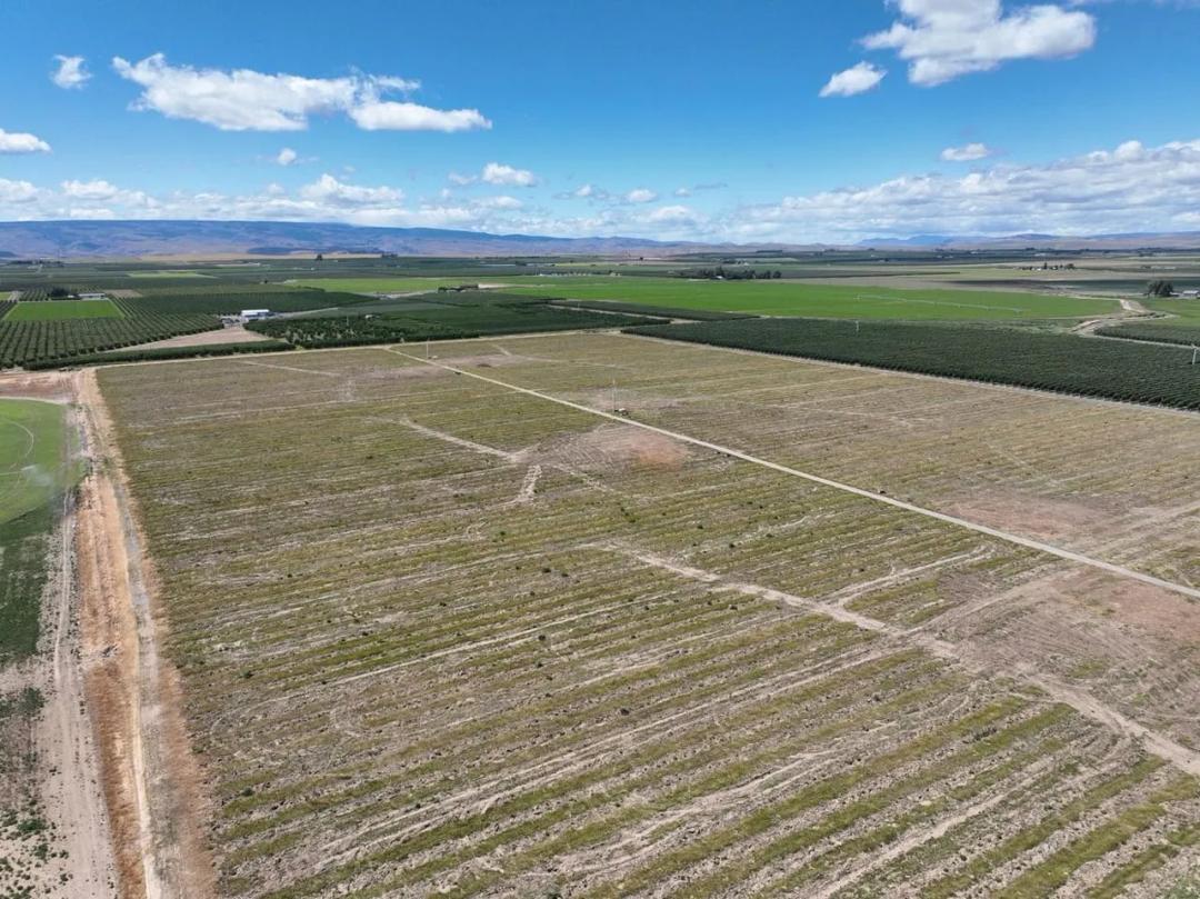 Listing #19185 - 69.08 acres in Grant County, WA