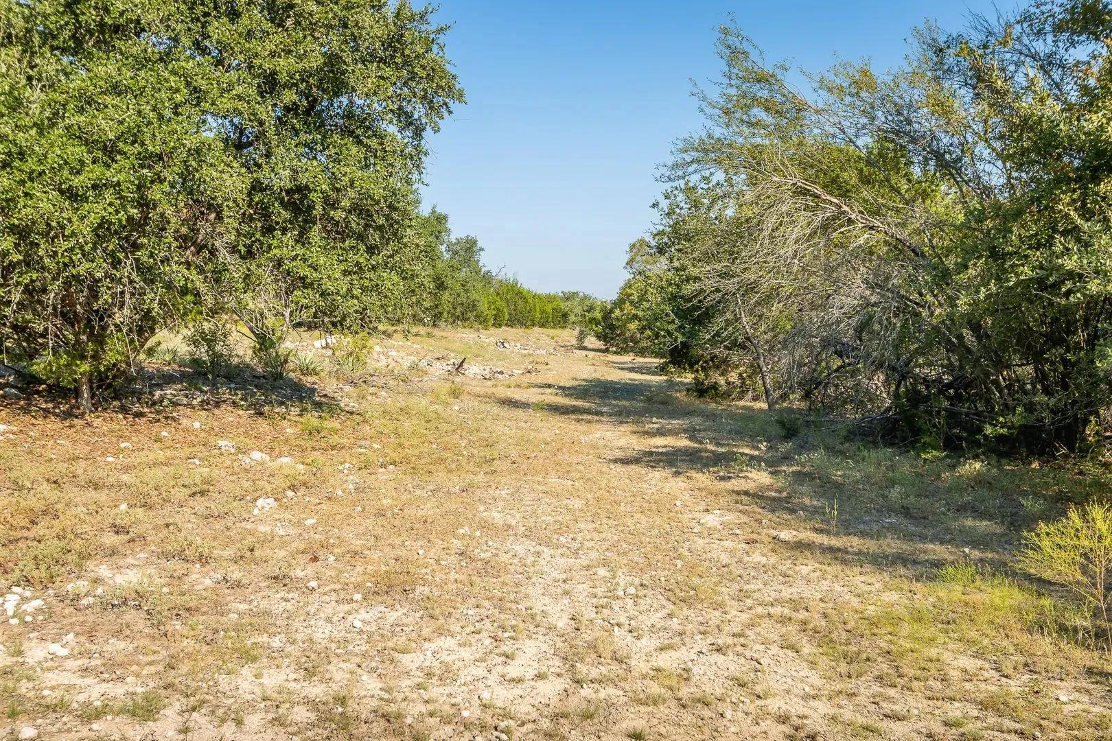 77365597-30