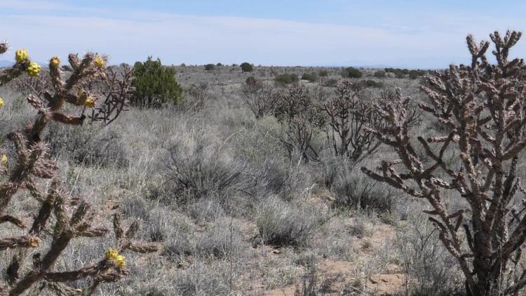 Rio Rancho New Mexico Land for sale - 1+ acre parcel in Rio Rancho Estates