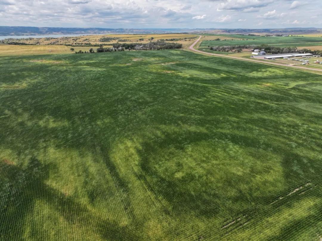 Charles Mix County, SD 144.15 Acres