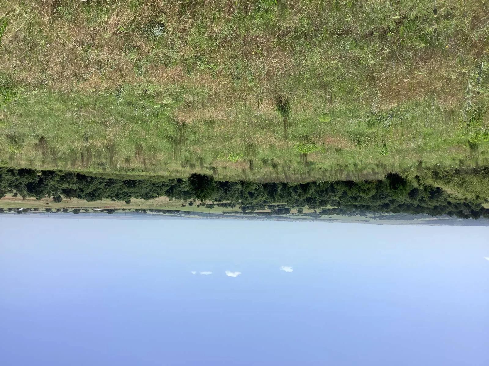 77390120-14