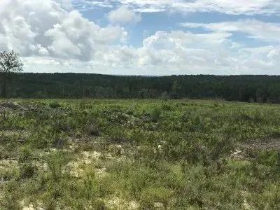 Turkey Ridge Tract B