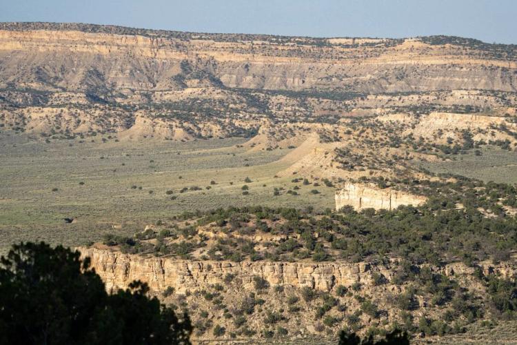 La Ventana Mesa Land Ranch