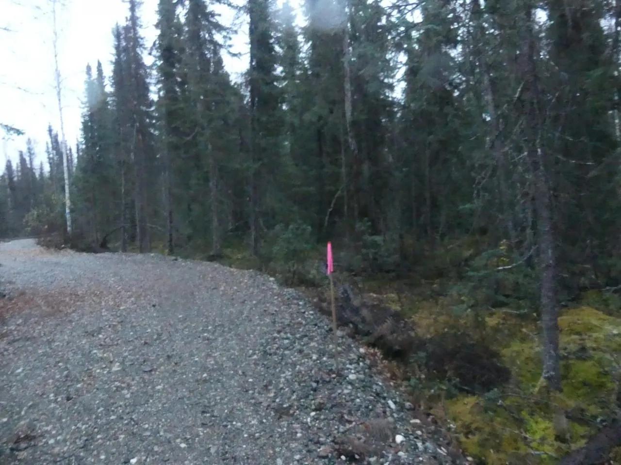 77470823-27