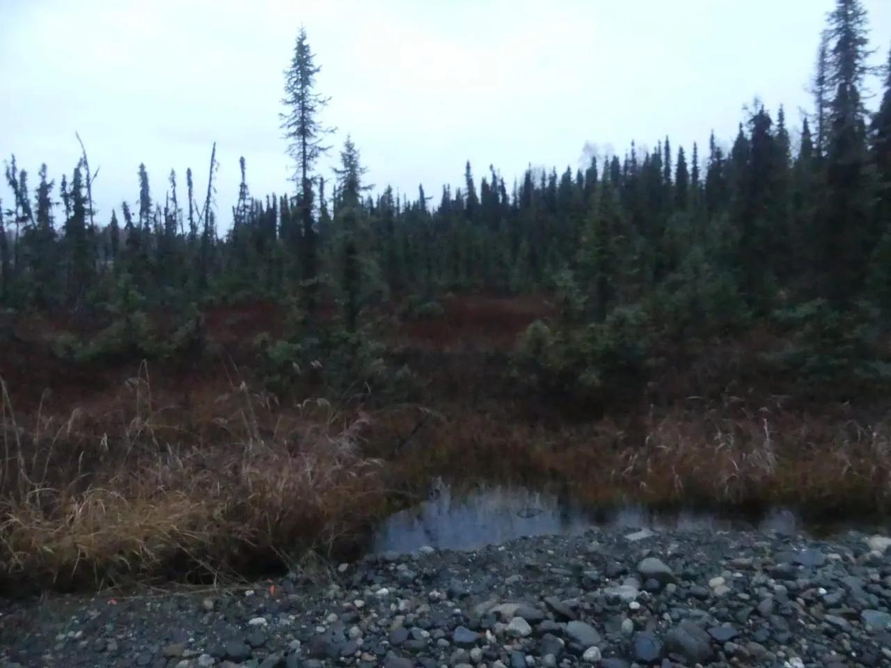 77470823-29