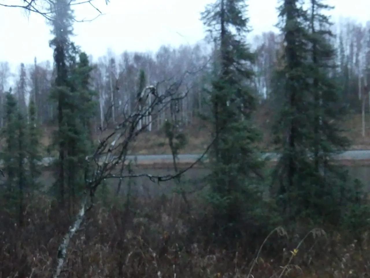 77470823-3