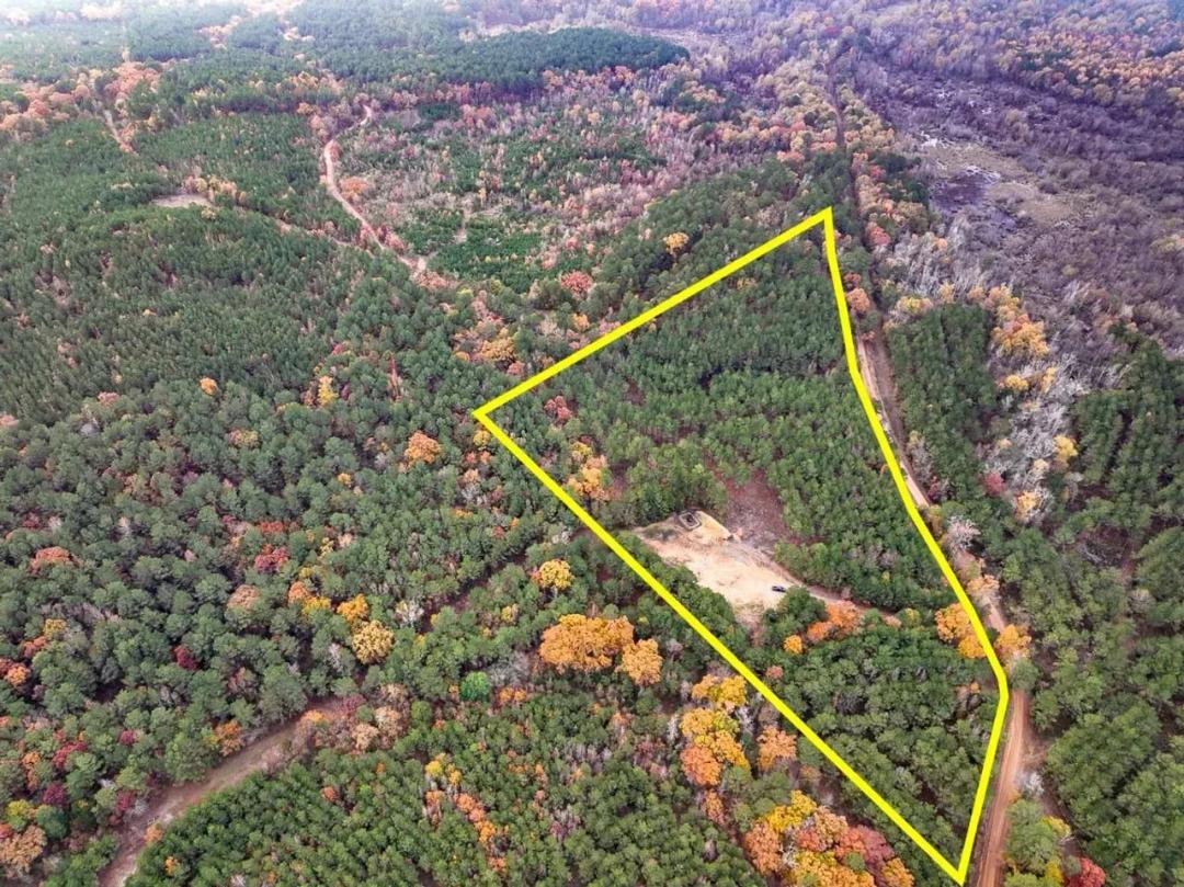 17 Acres | County Road 1651 | T-2