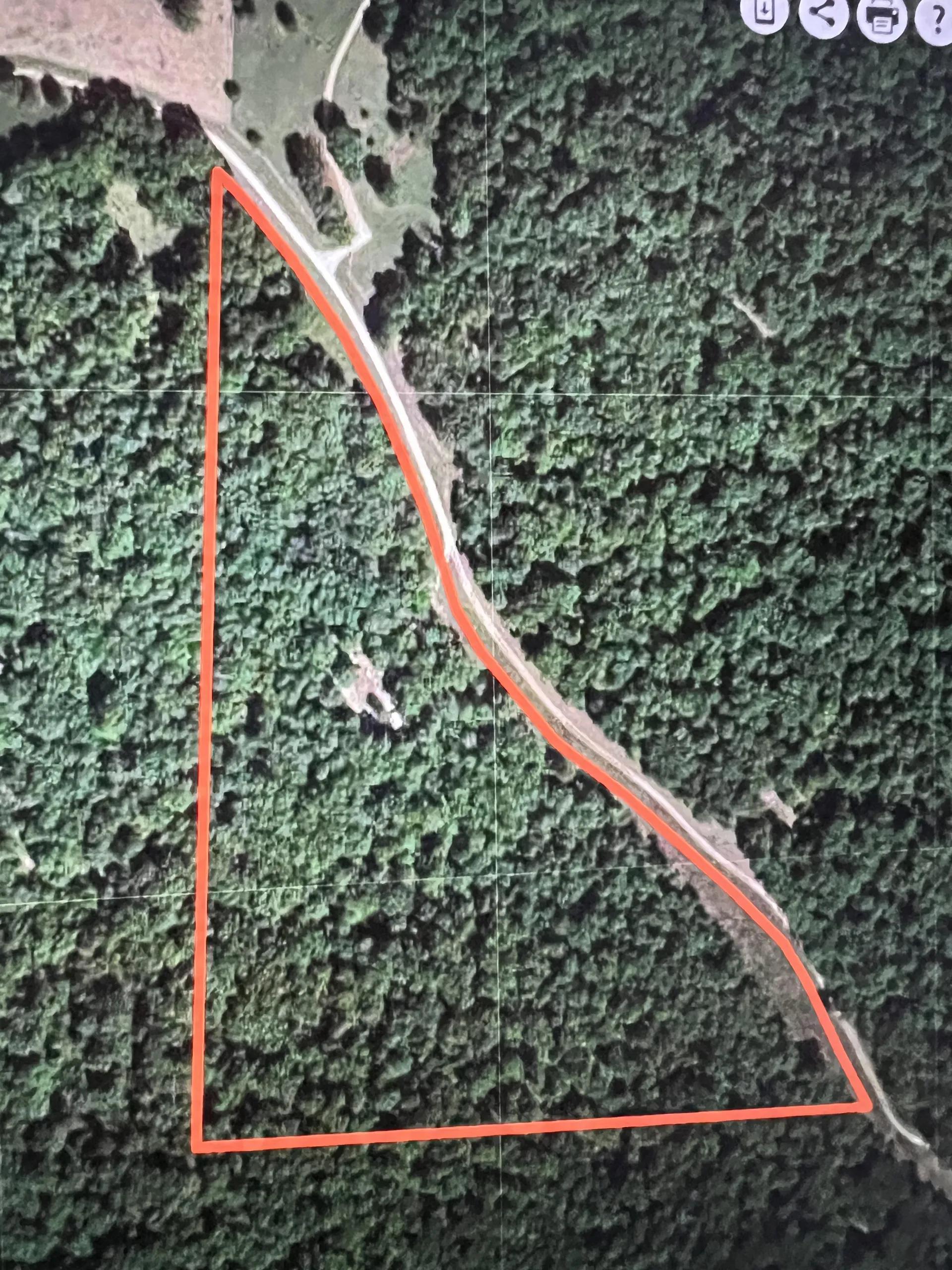 77491949-21