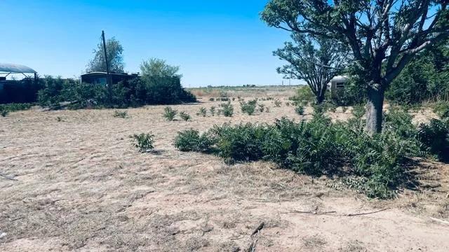 Perfect Building Lot at Ute Lake, Logan, NM