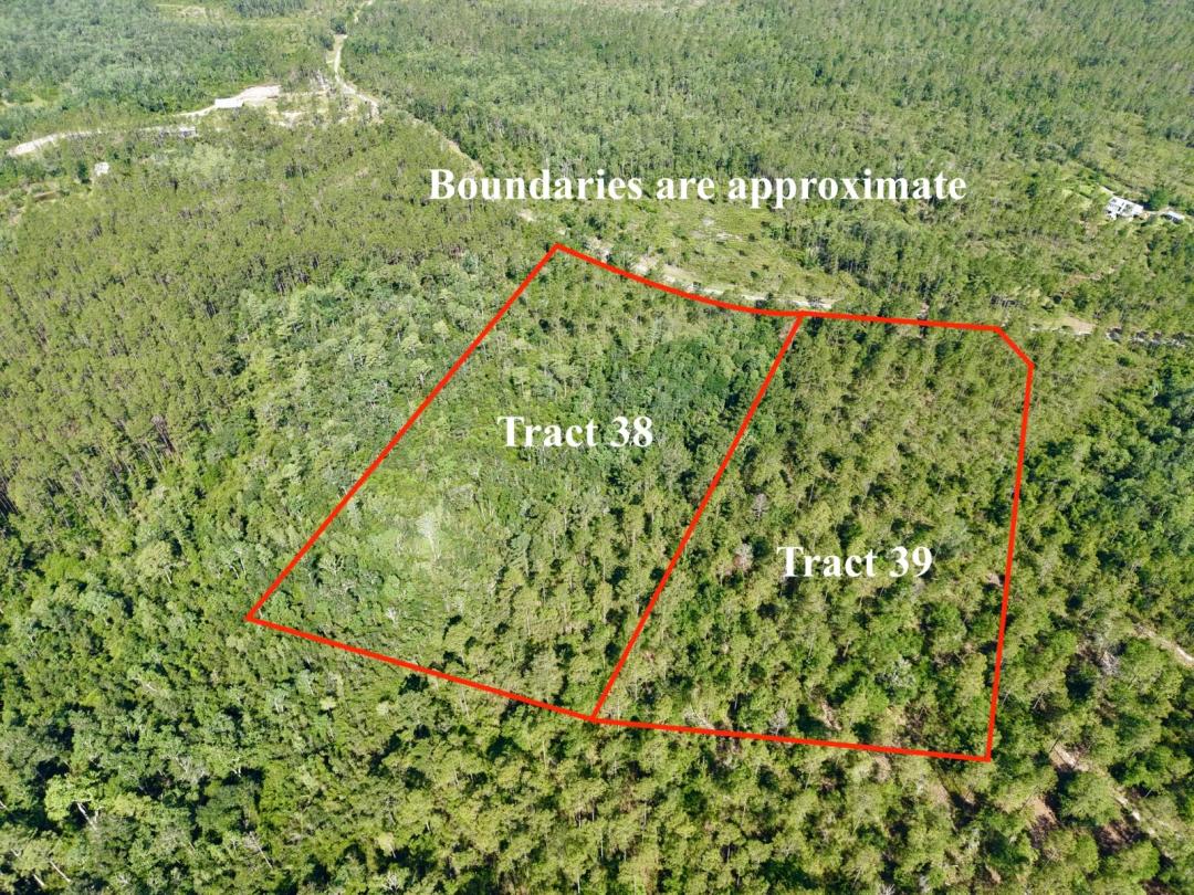 21 Acres in Aucilla Plantation - Build, Explore &amp; Unwind