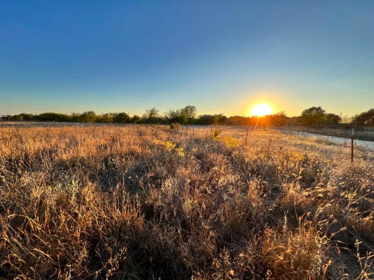 11.00 Acres at TBD Tract 5 FM 1602