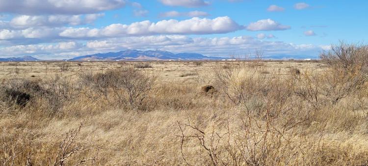 1.5 acre Homesite in Southern New Mexico
