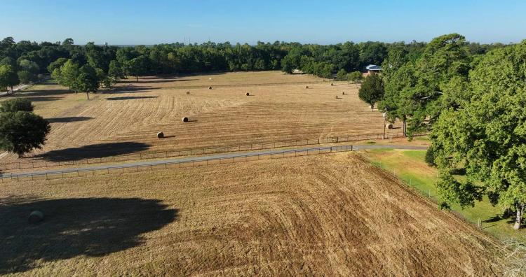 Kimberly Trace Farm