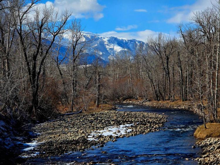 East Rosebud Property