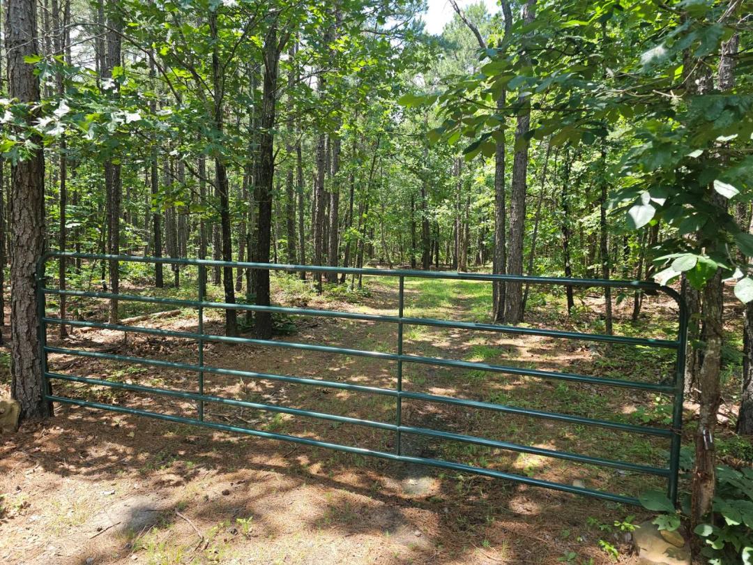 50 Acres in Trophy Ridge II