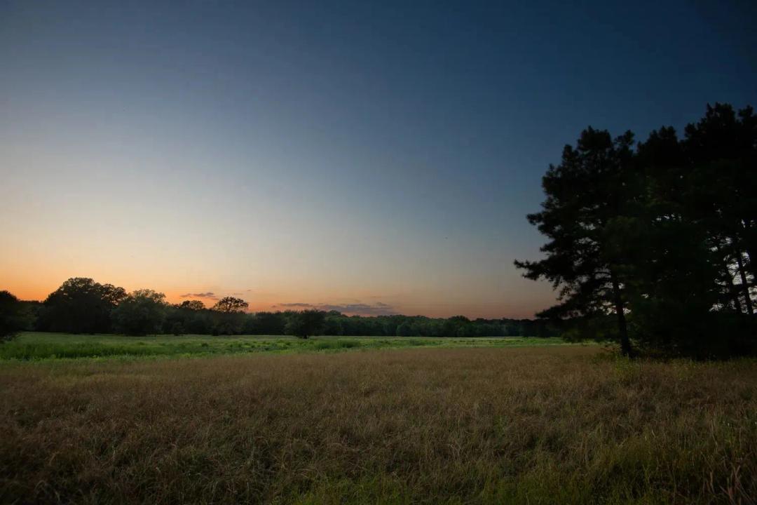 The Getaway - 863 Acres of Riverfront Hunting and Recreational Land in Upshur County, TX