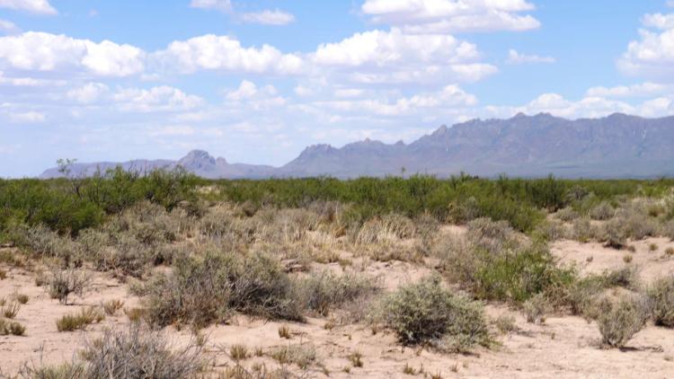 10 Acres Undeveloped land  SW of Deming New Mexico