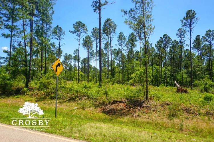 Spread Oak Estates Lot 4