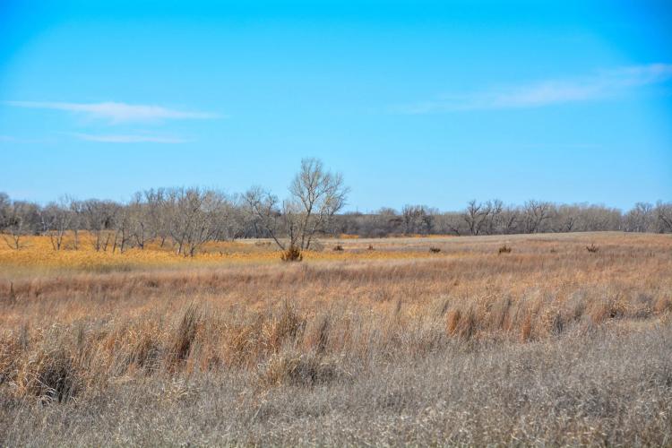 Rooks County Upland & CRP