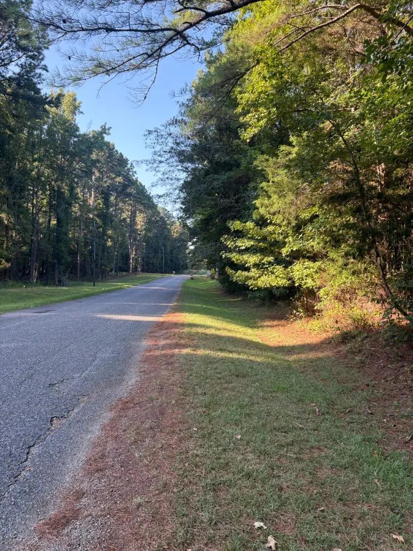 3.68 Acres in Winston County, MS 