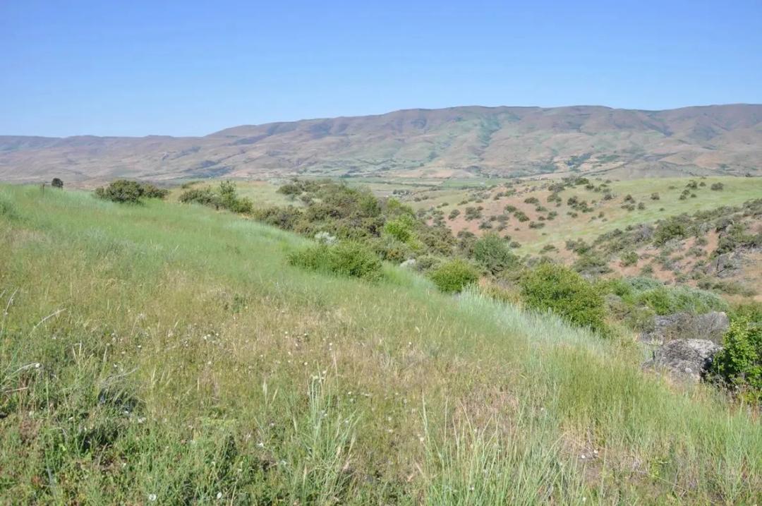 Ola Idaho Lands Parcel C