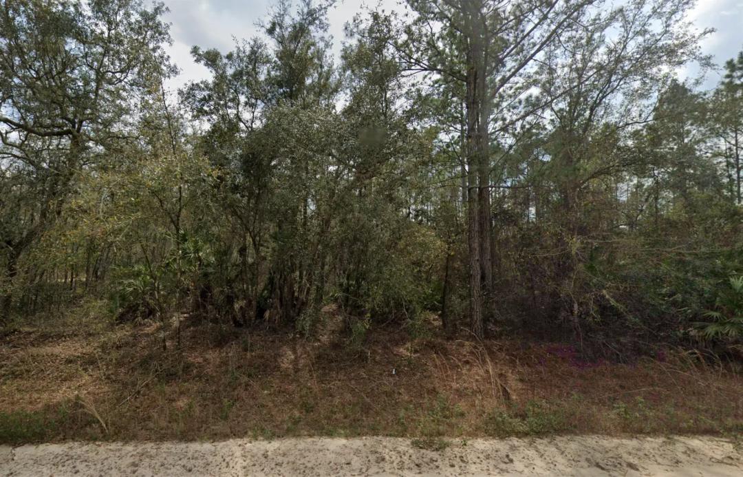 Affordable .22-Acre Florida Lot Near Lakes – Owner Financing Available