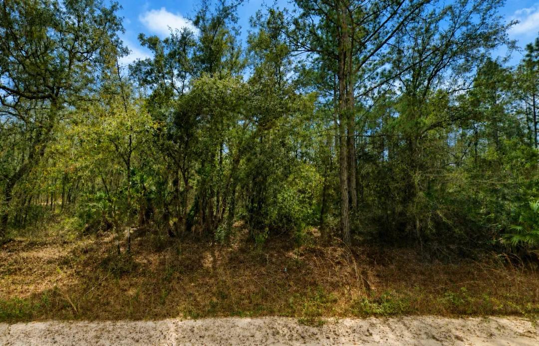 Affordable .22-Acre Florida Lot Near Lakes – Owner Financing Available