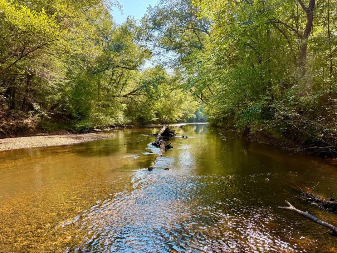 631 acres Perry Co., AL