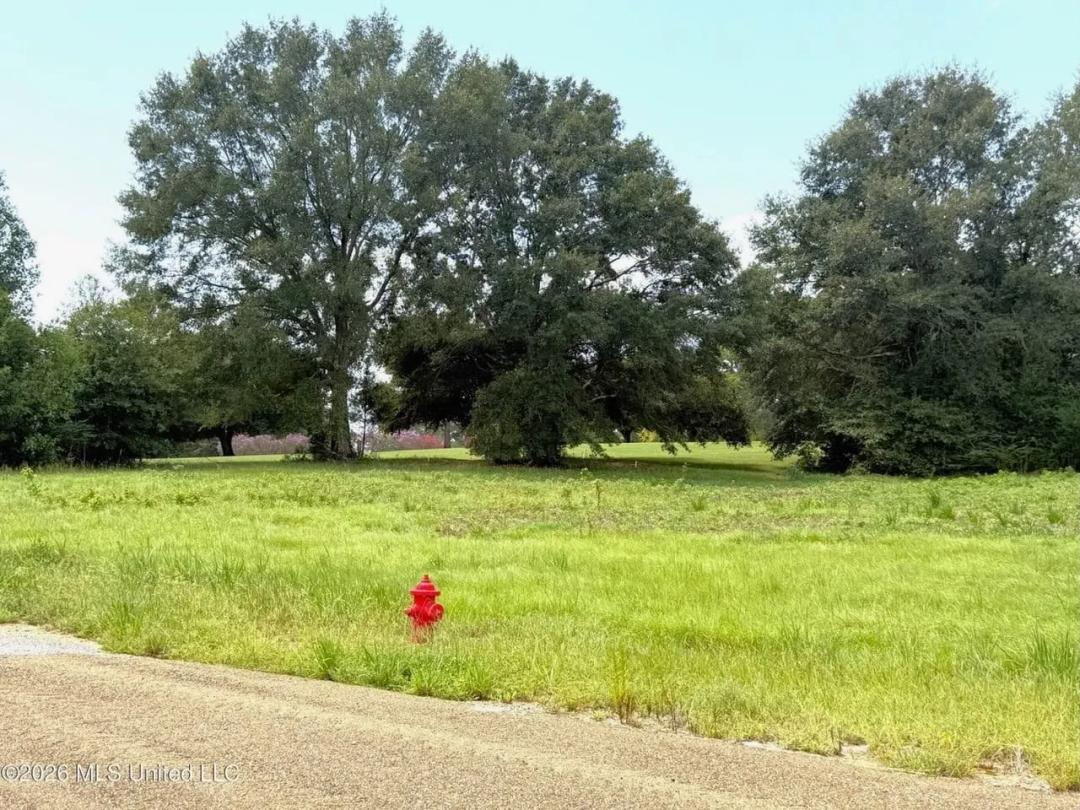 2 Acre Golf Course Lots for Sale Near Fernwood Country Club