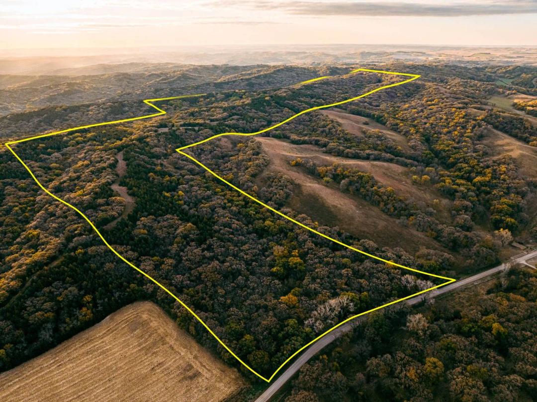 173± Acres River Bluff Hunting Land | Build Site | Wynot, NE