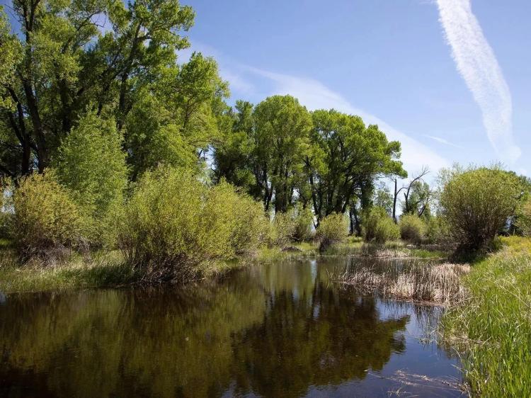 Saratoga North Platte River Ranch