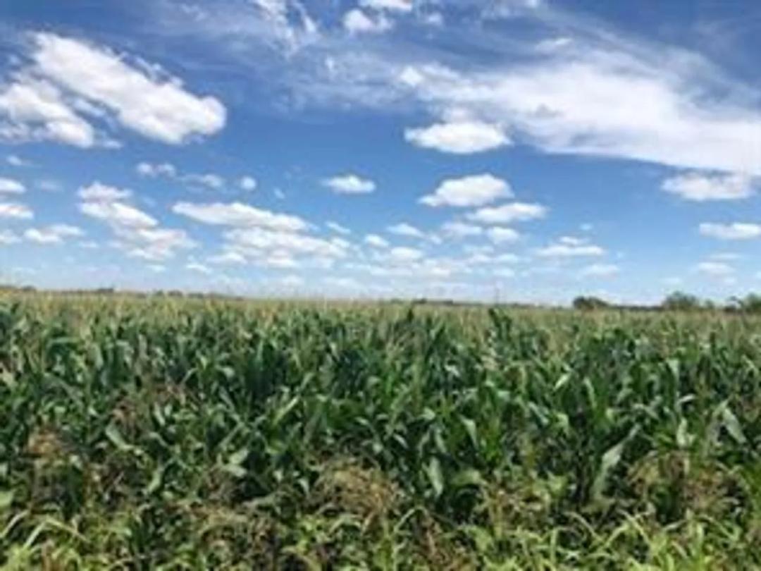 LAND FOR SALE IN BRUCEVILLE EDDY, TX