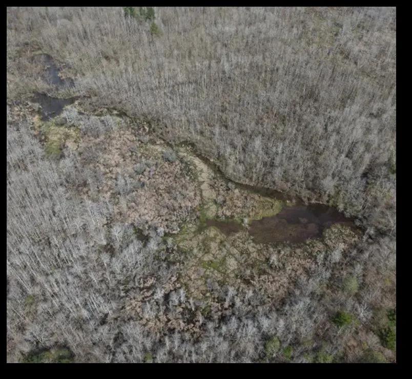 95.6 Acres in Newton County in Newton, MS