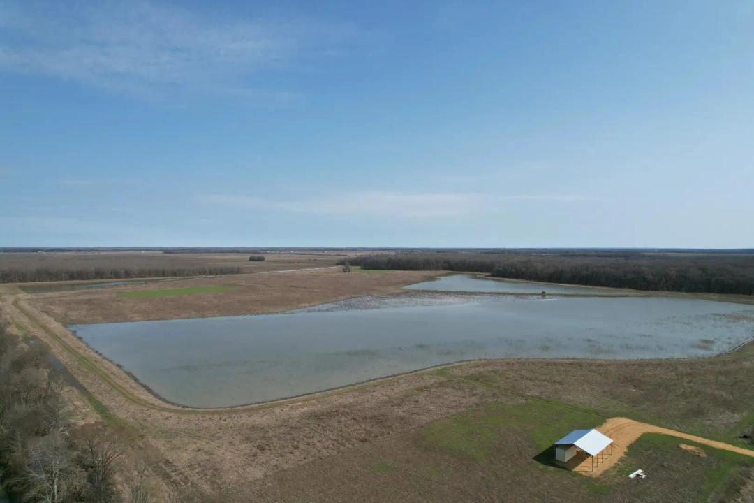 163.4 Acres in Quitman County, MS 