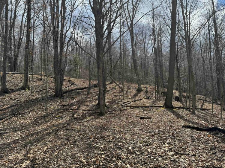 25 acres Hunting Land and Recreational Land in Grove NY County Road 15b