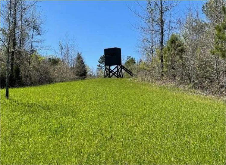 255 Acres in Attala County in Kosciusko, MS 